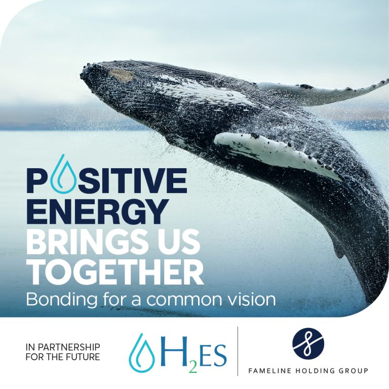 FHG-HES partnership post